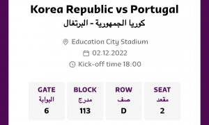 Korea vs Portugal